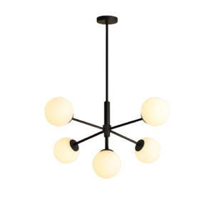 ChatGPT_Image_Dec_3__2025__08_32_07_PM-removebg-preview